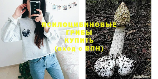 СК Аркадак