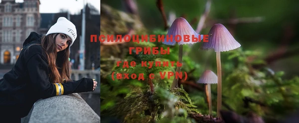 ALPHA-PVP Алексин