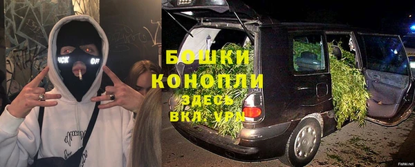 шишки Армянск